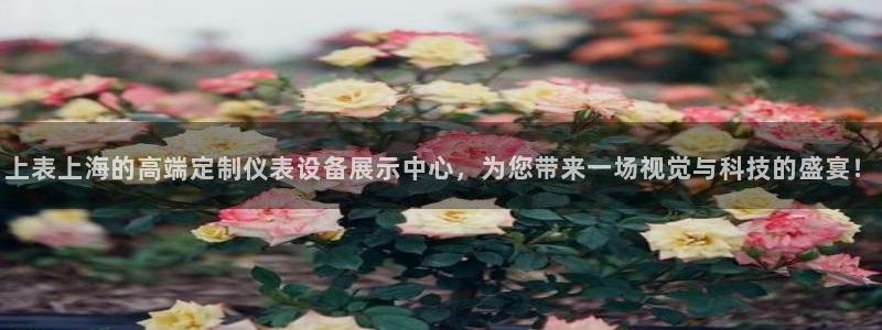 新宝GG傲78778