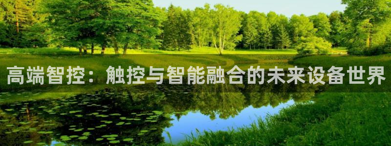 网站是新宝gg