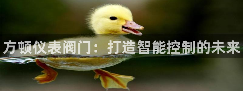 新宝gg什么