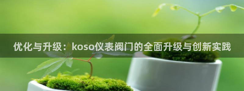 新宝gg网赚