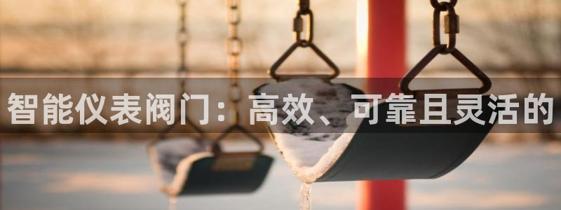 新宝gg网站