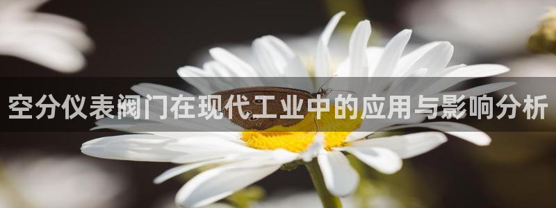 新宝gg网址