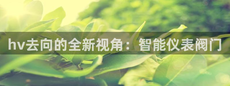 新宝GG绿色