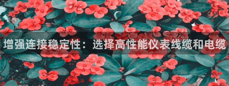 新宝gg软件