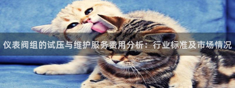新宝gg找回账号