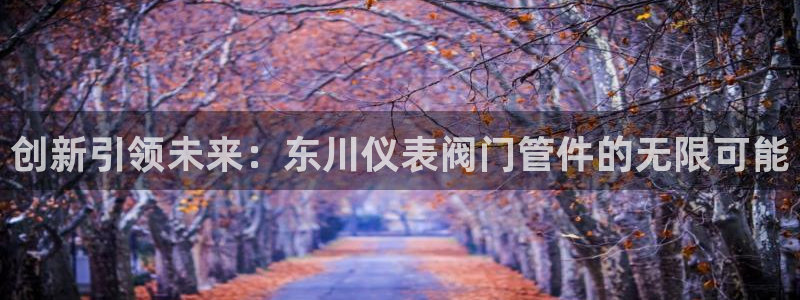 新宝gg手机助手