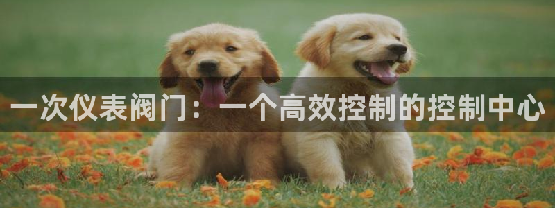 新宝gg奖金