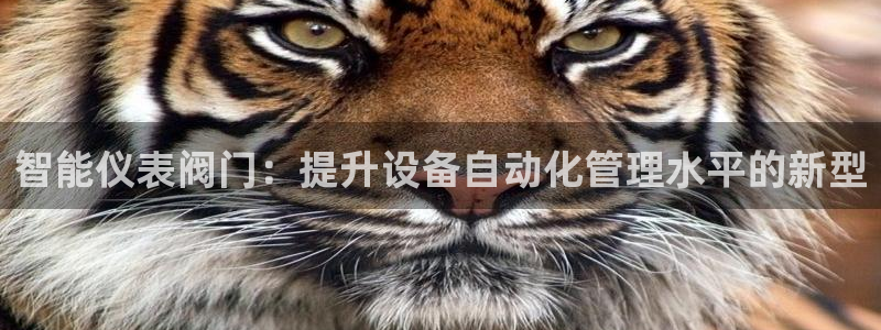 新宝gg平台下载安装