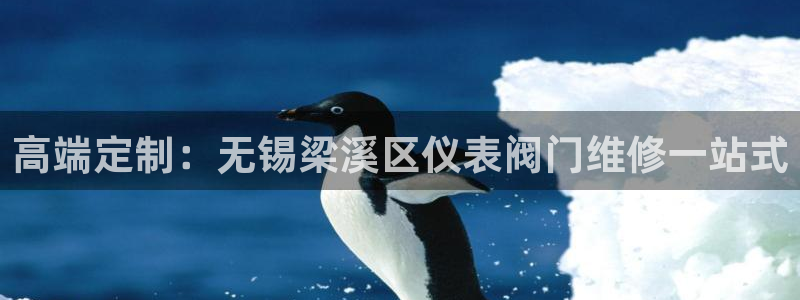 新宝gg 创