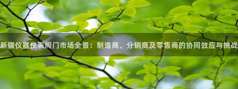 新宝gg评论