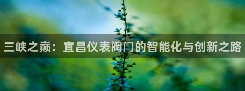 新宝gg注销
