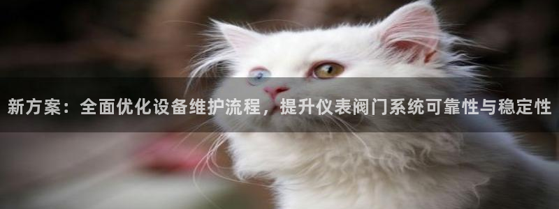 新宝gg真的