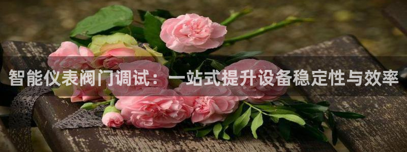 新宝gg 创