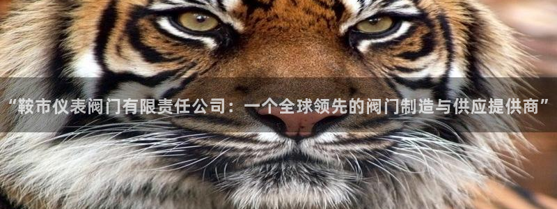 新宝gg直属