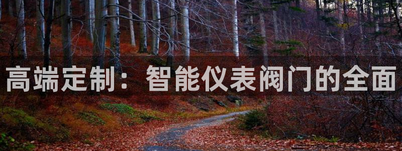 新宝gg创造