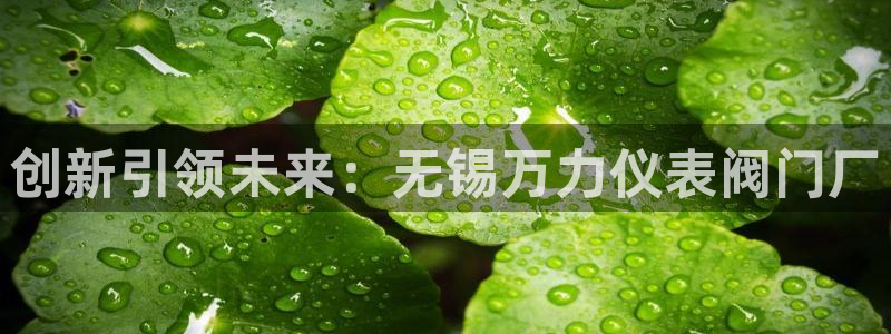 行新宝gg