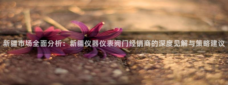 新宝gg怎样