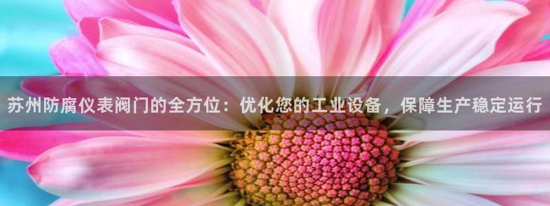 新宝gg 网址