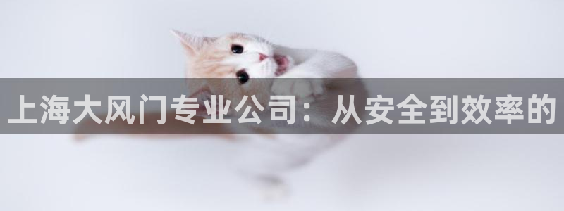 11新宝gg