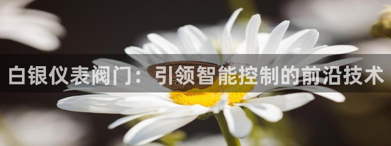 下载新宝gg怎么下载