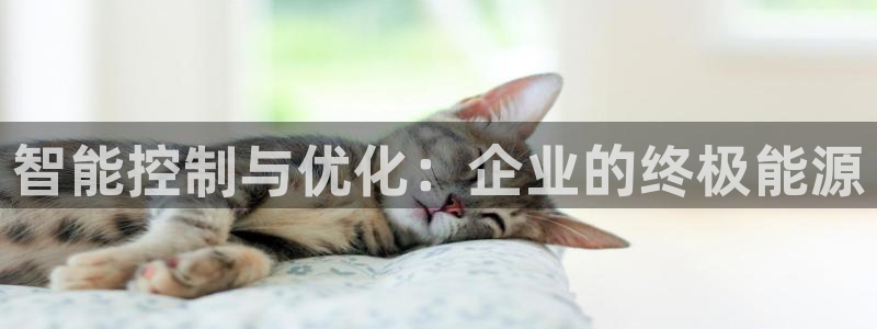 新宝gg赚钱