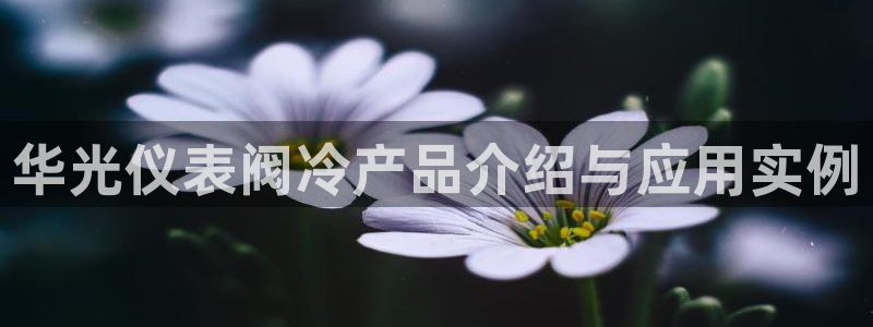 新宝gg奇迹