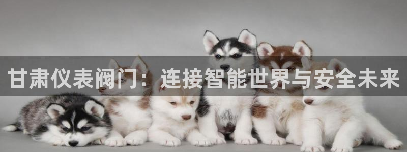 【新宝gg】