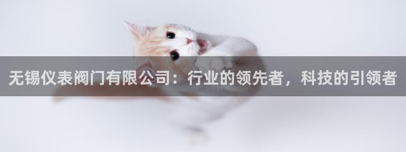 新宝gg彩票