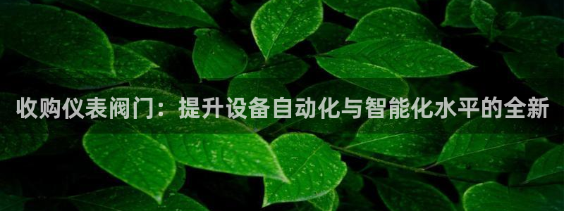 新宝gg龙虎