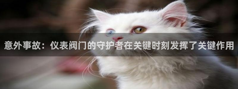 新宝gg娱乐盟主