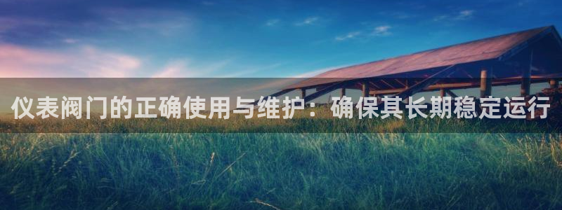 新宝gg评论