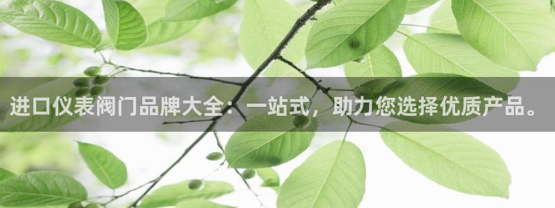 新宝gg金砖彩票