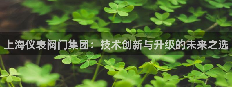 新宝gg如何