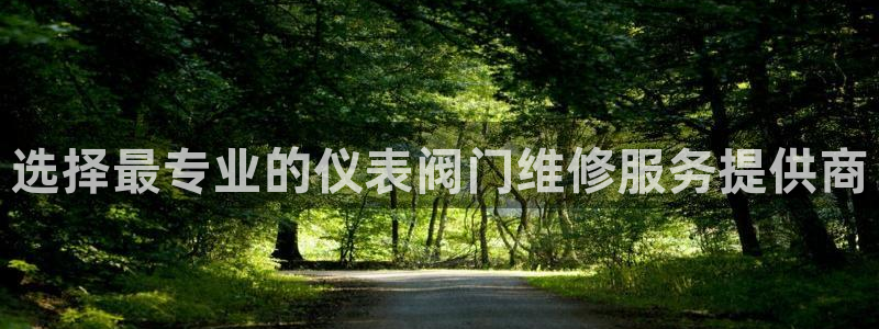 分分新宝gg