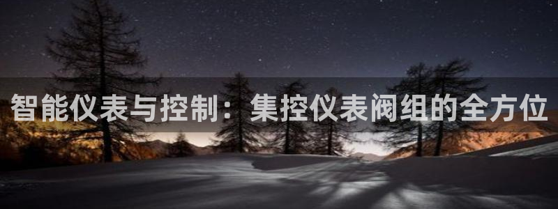 广东新宝电器gg