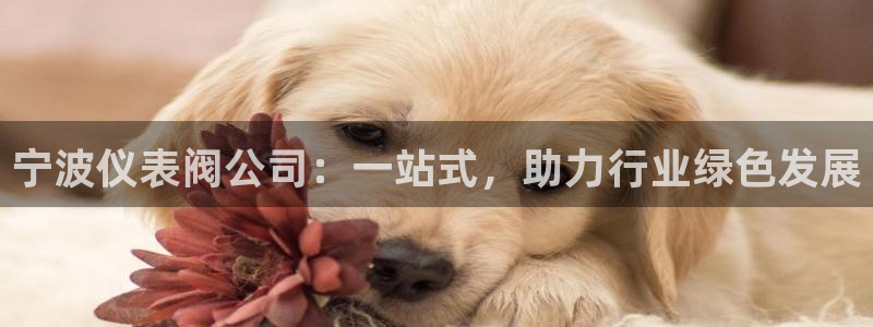 新宝gg 网址