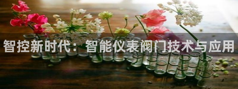 新宝gg娱乐上皇巢网