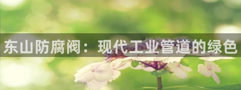 新宝GG上级