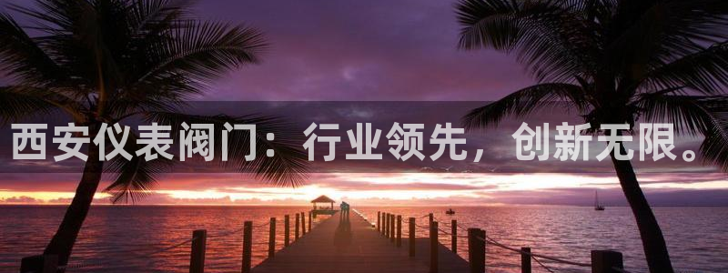 新宝gg为什么没人管
