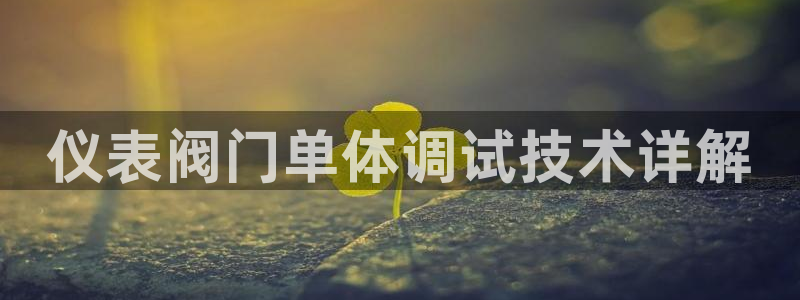 新宝新宝gg开户流程