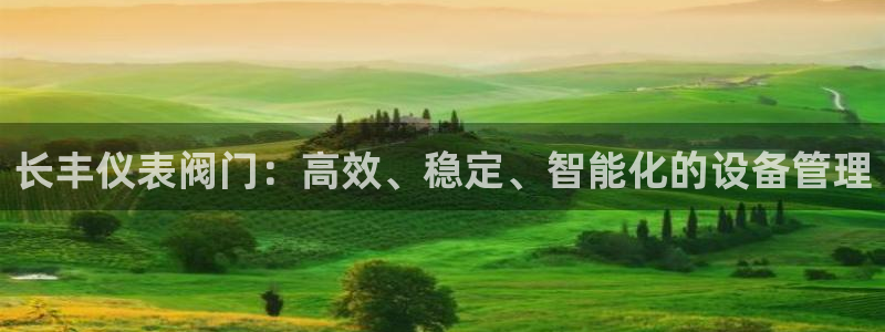 新宝gg网站