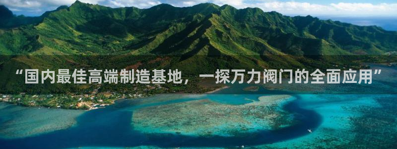 新宝gg网站