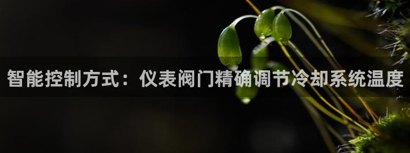 新宝gg官方