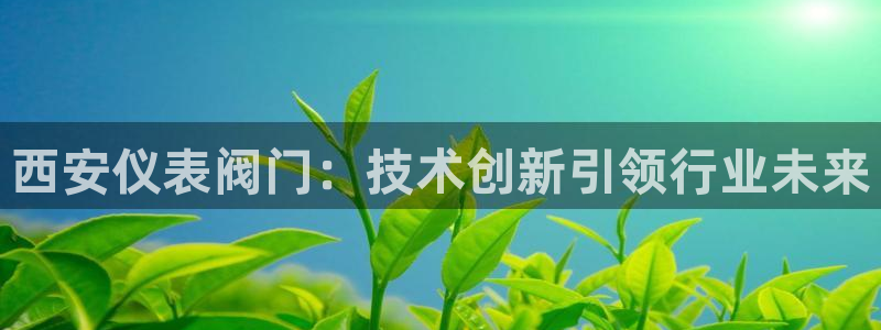 新宝gg_