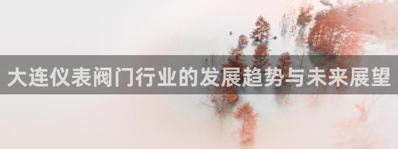 新宝新宝gg开户流程