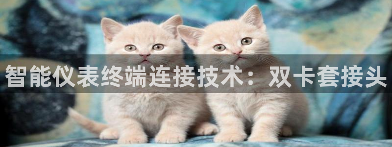 新宝GG冰冰