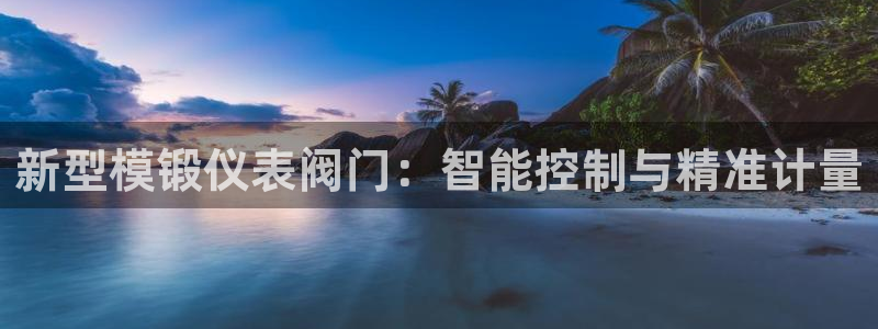 新宝gg返点1956是多少