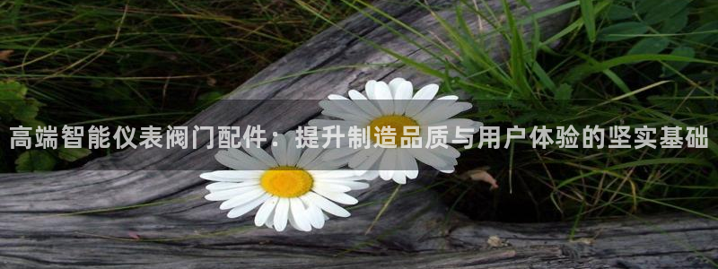 新宝gg在哪开户