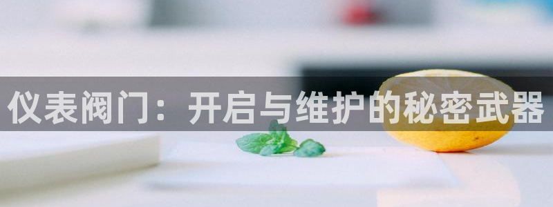 新宝GG勒55312