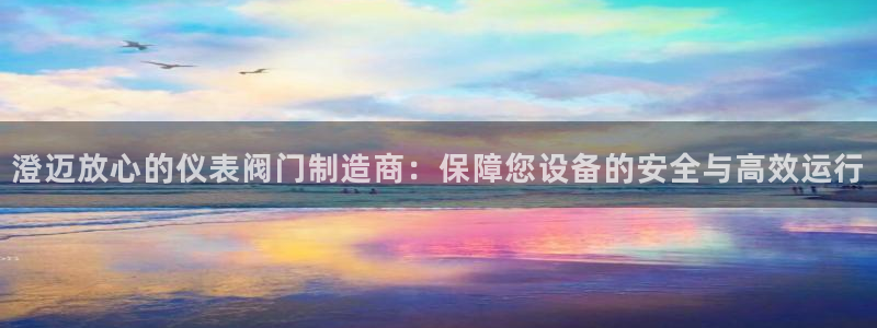 新宝gg成立